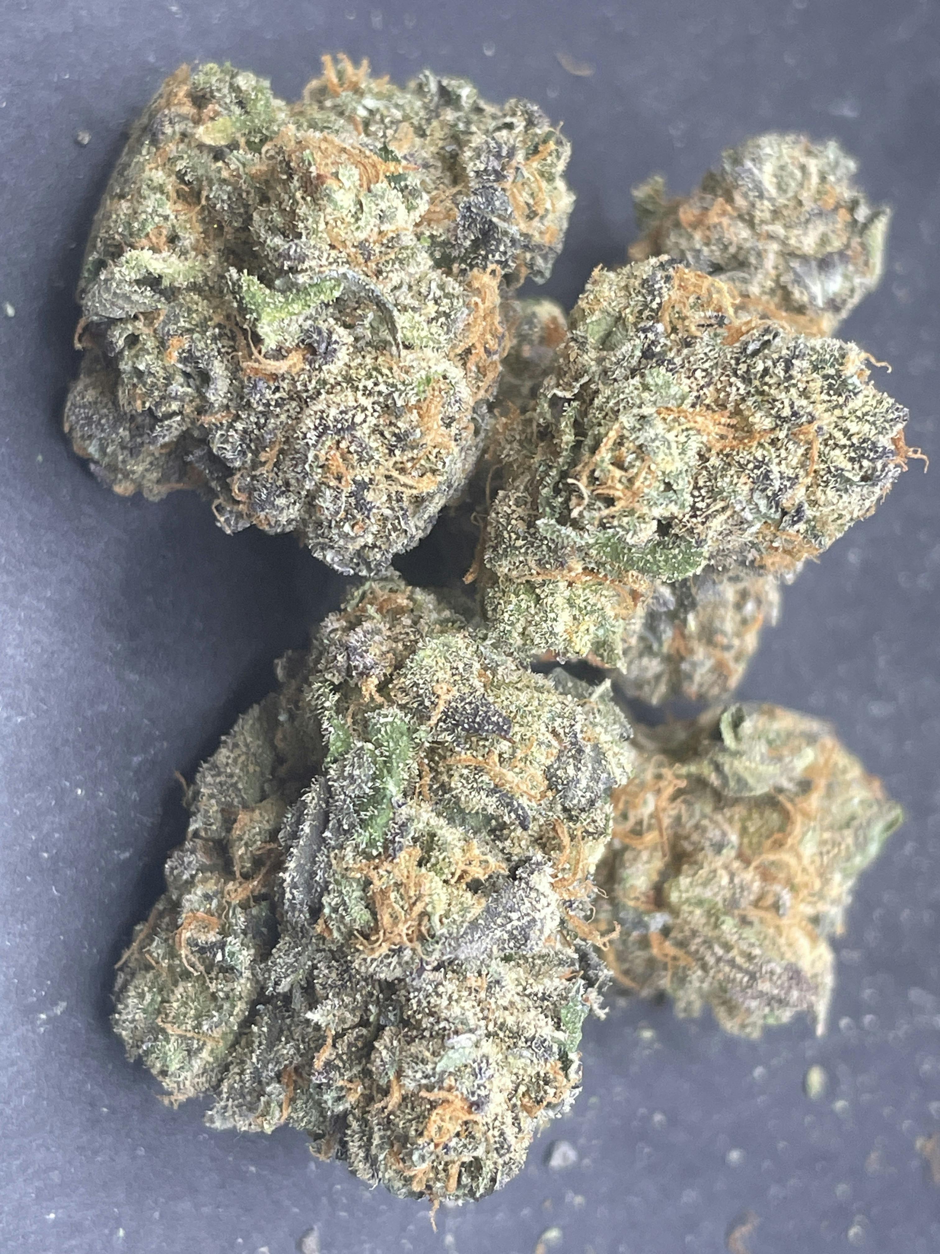 Gastro Pop | Buds | 3.5g