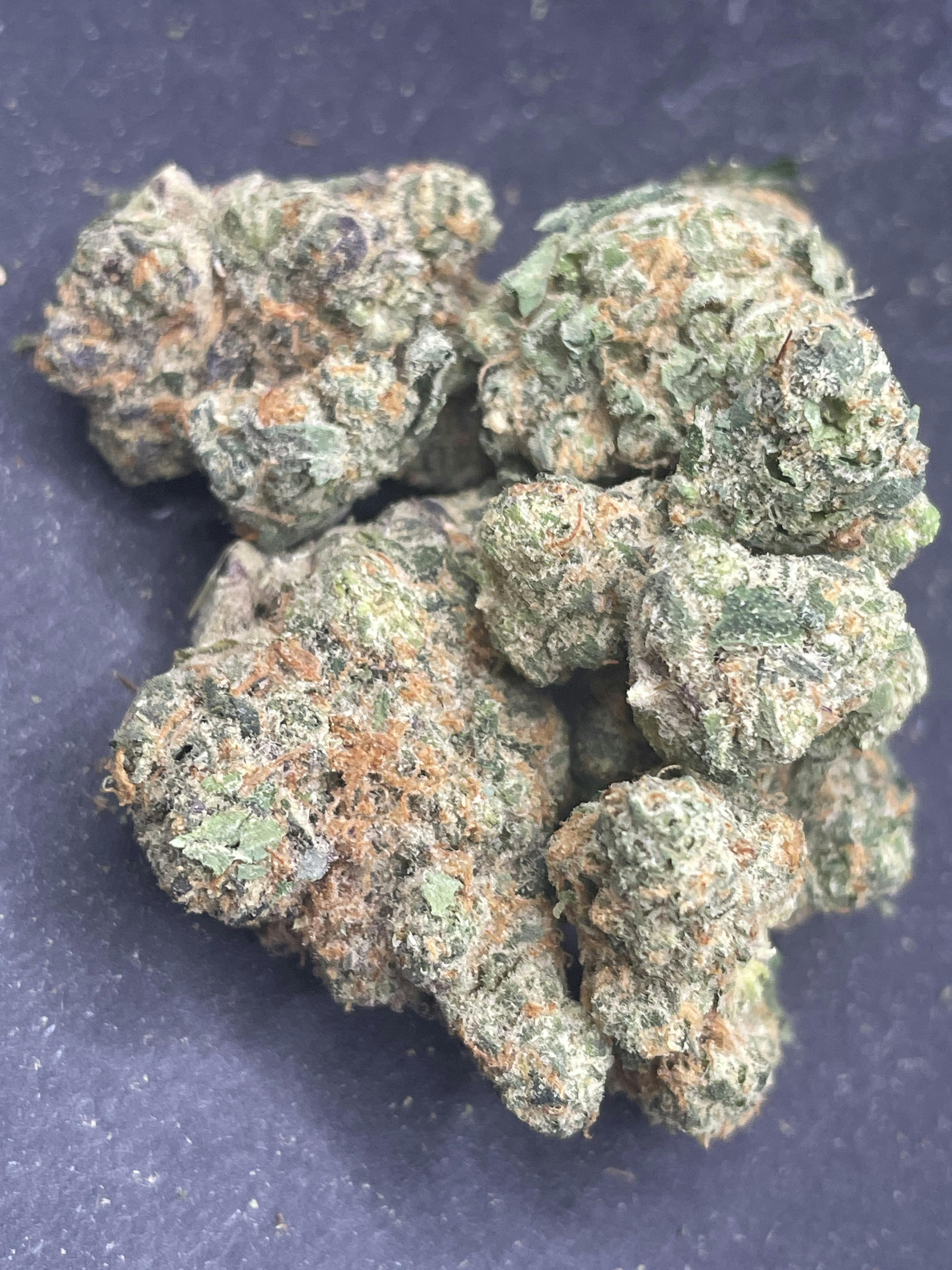 High Neighbor | Black Amber Buds MISC SHAKE