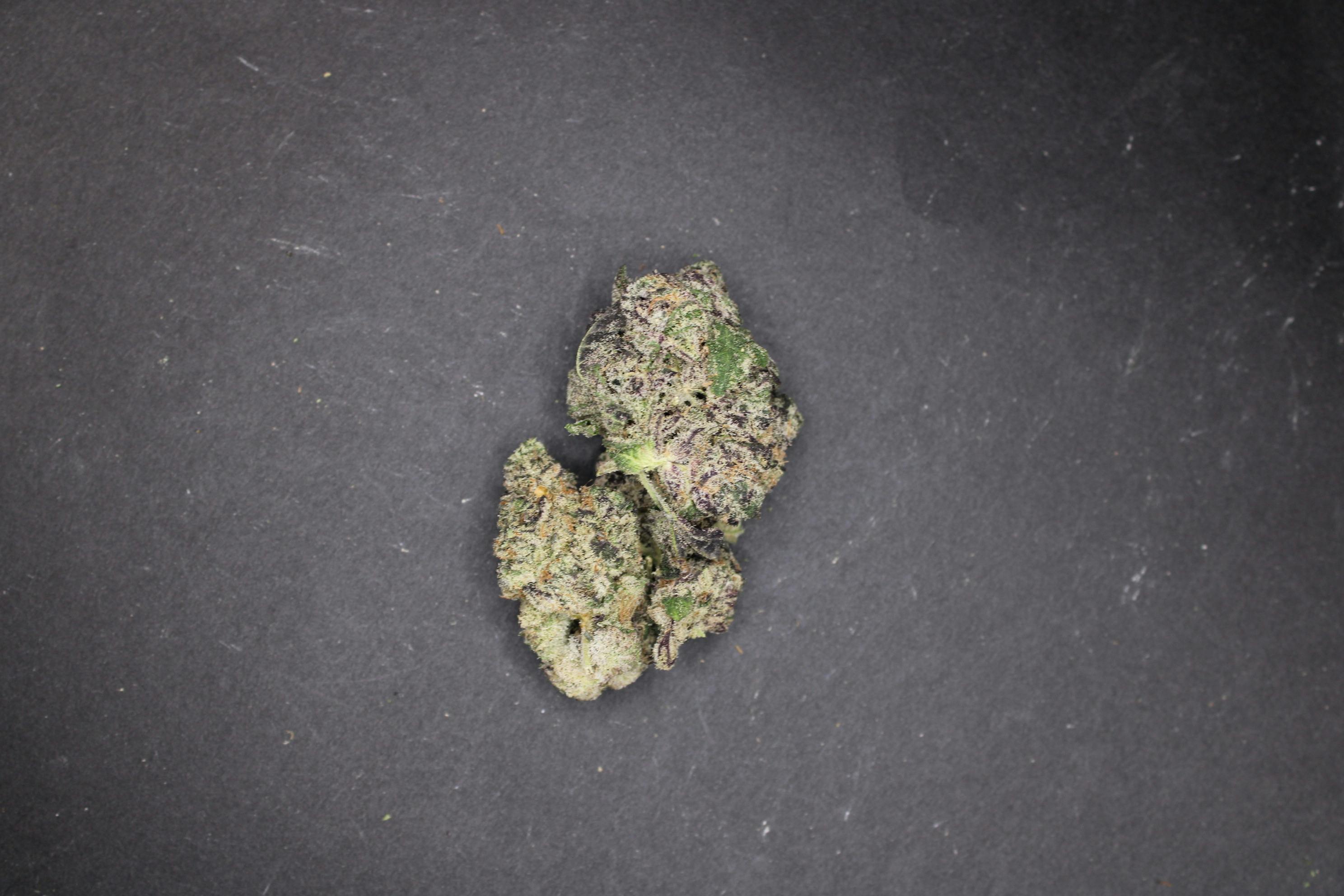 Unloc Gardens | Blueberry Sugar C-BUD MISC SHAKE