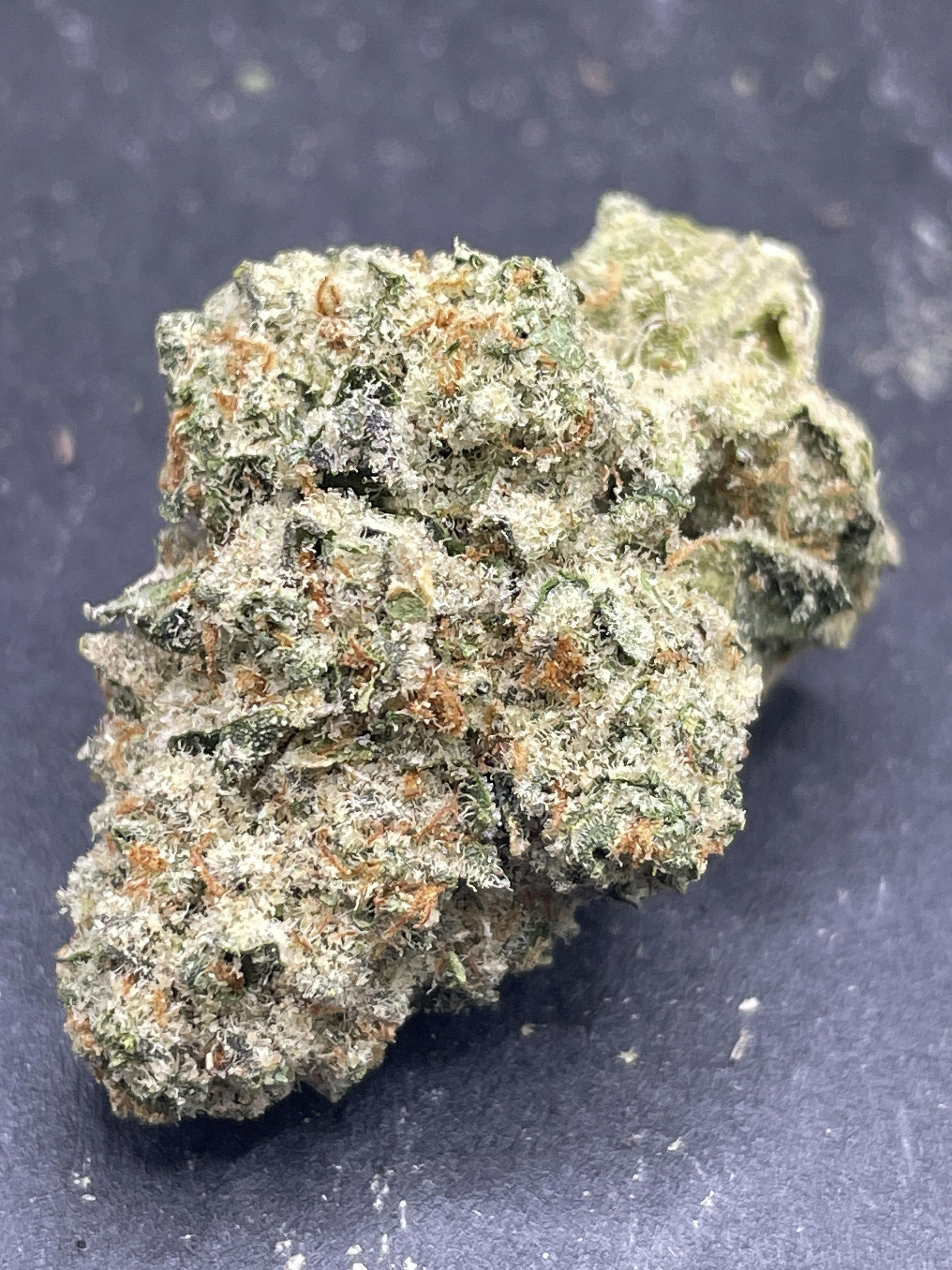 Unloc Gardens | L.A. Baker 1G