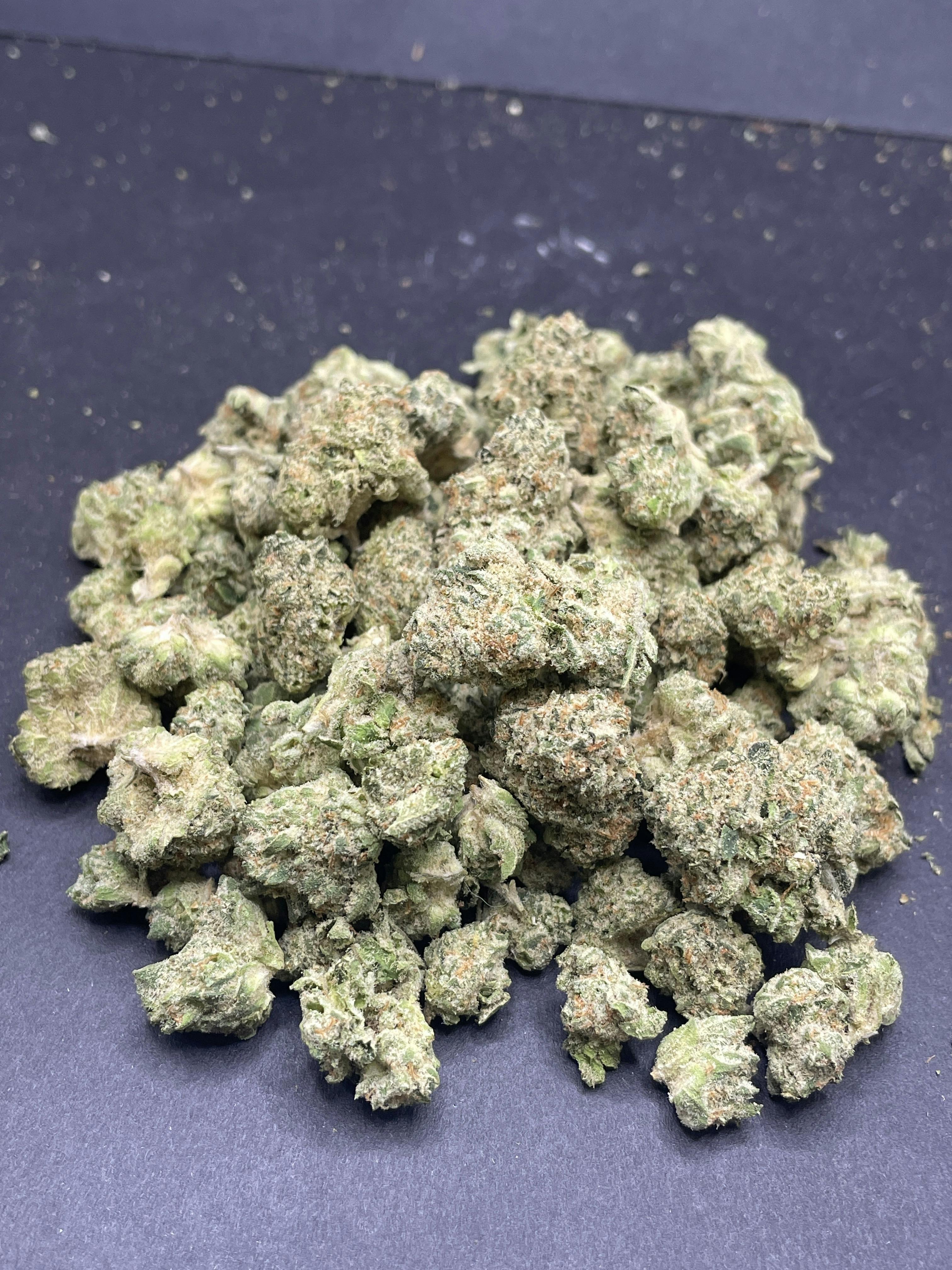 Unloc Gardens | L.A. Baker MISC SHAKE
