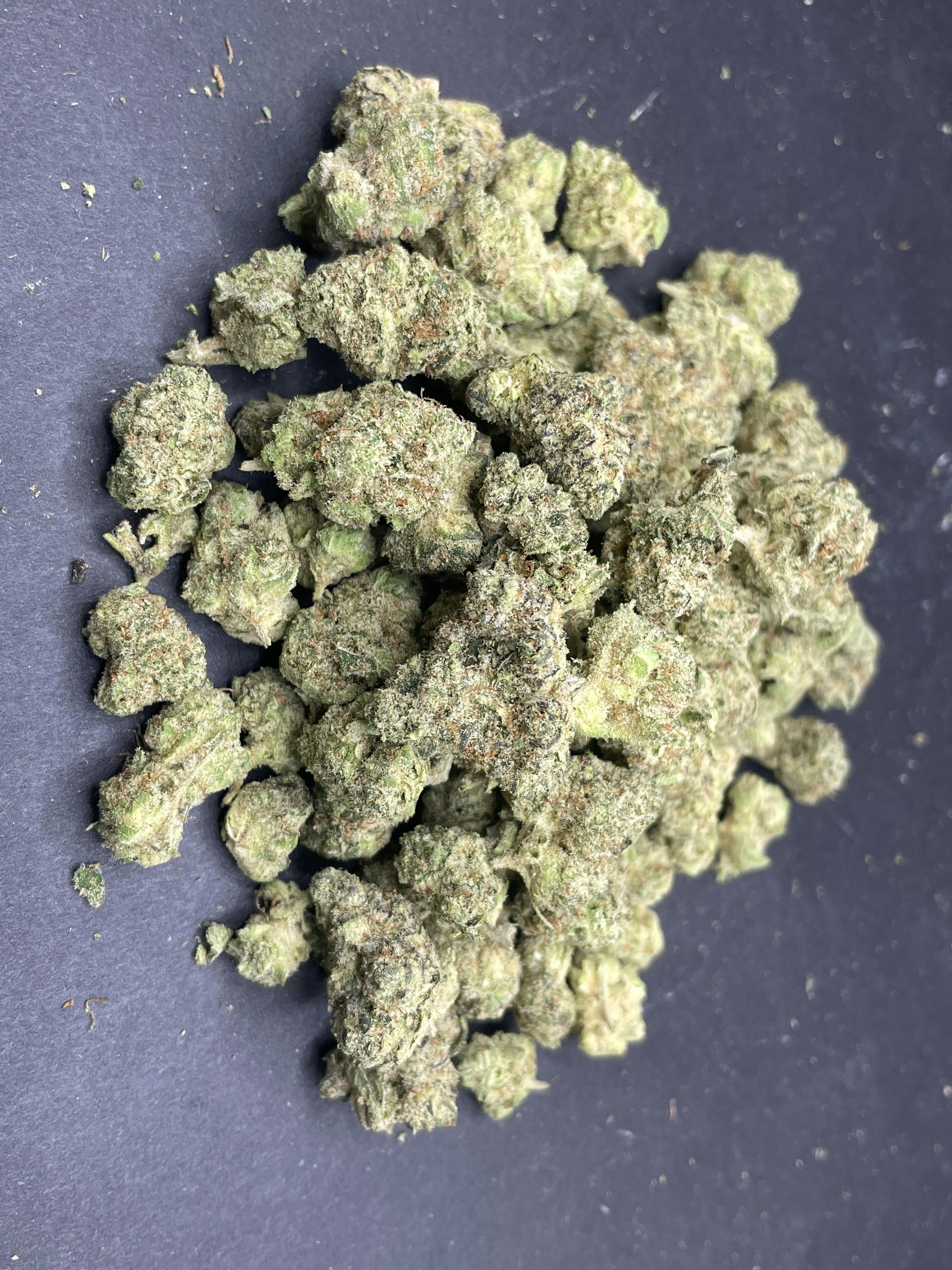 Unloc Gardens | Jetlato 14G