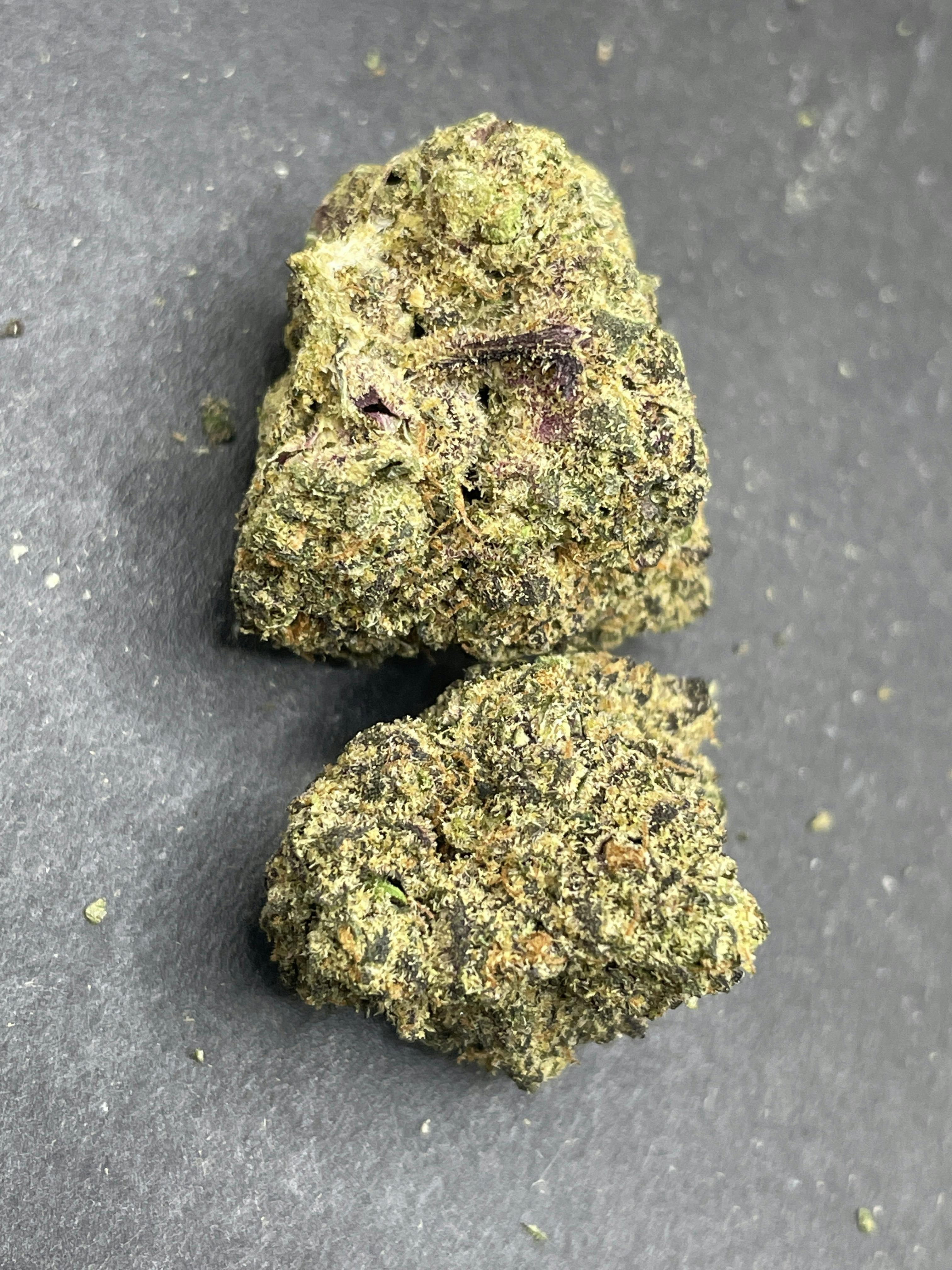 Unloc Gardens | Apple Fritter 1G