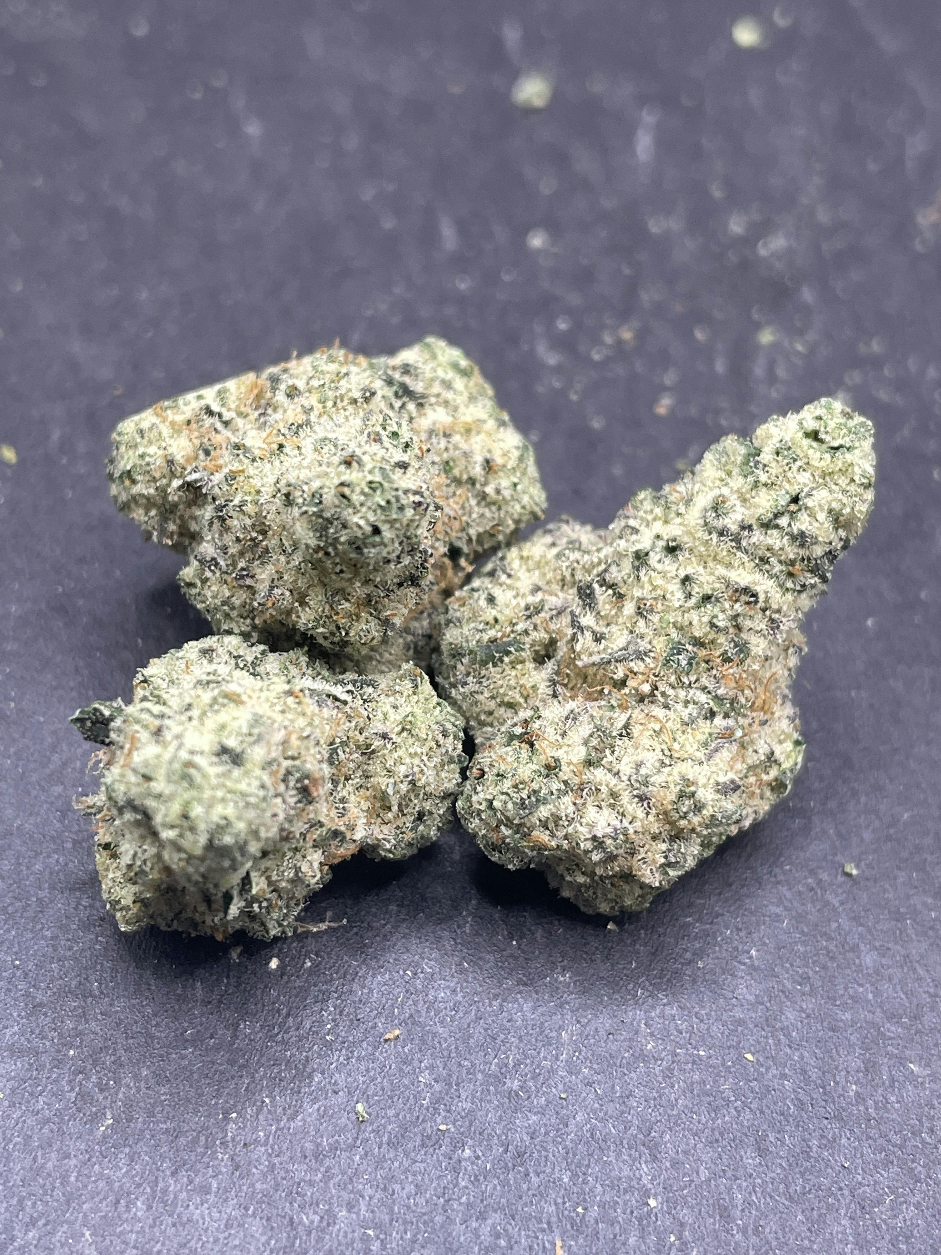 Pegasus | Indoor Flower - Platinum High