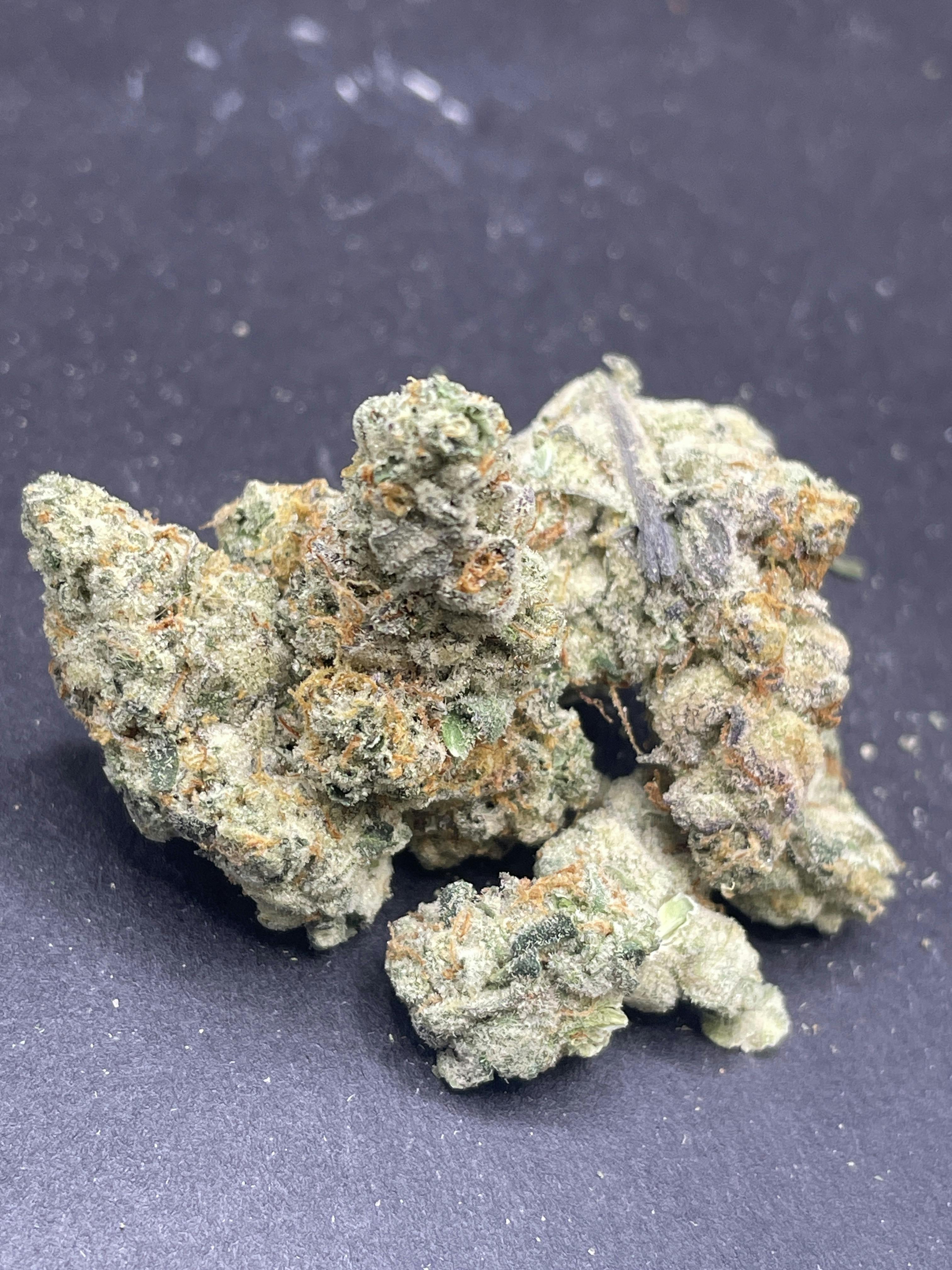 Pegasus | Indoor Flower - Pure Pegasus