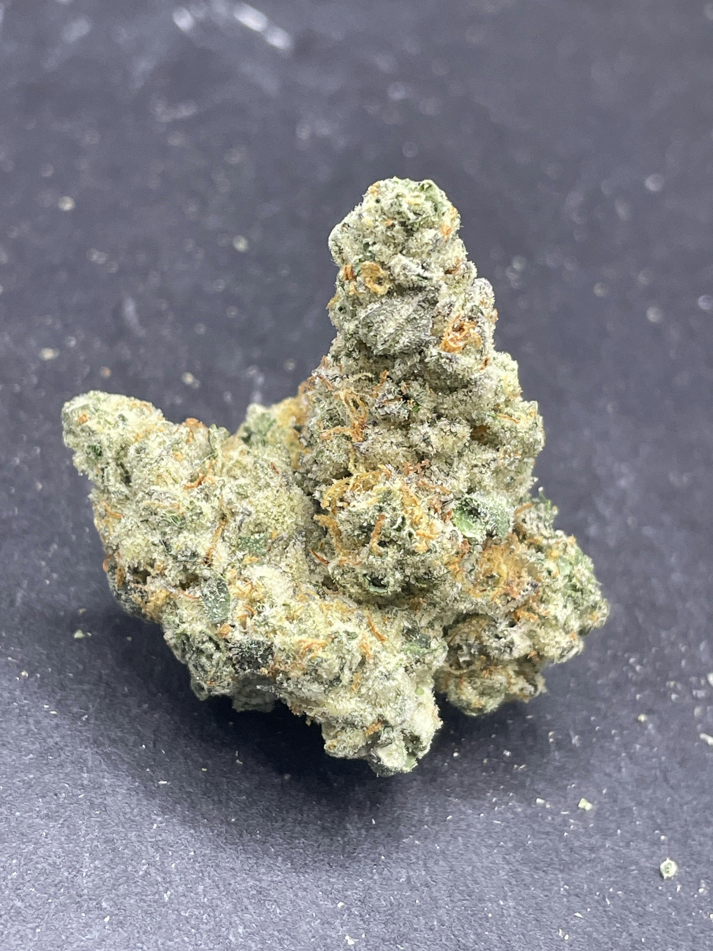 Pegasus | Indoor Flower - Pure Pegasus