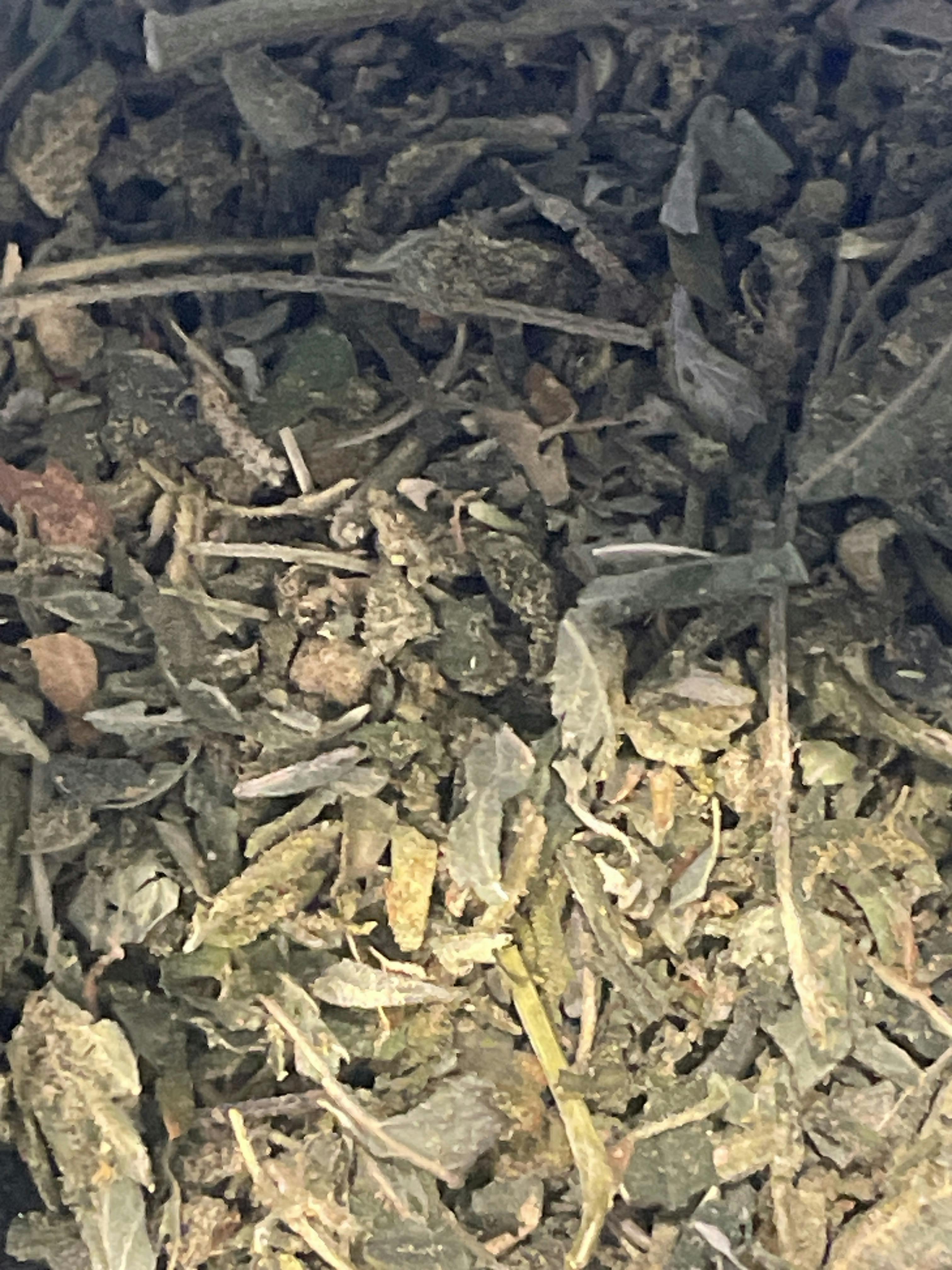 Unloc Gardens | Z Candy Shake Prepacked OZ