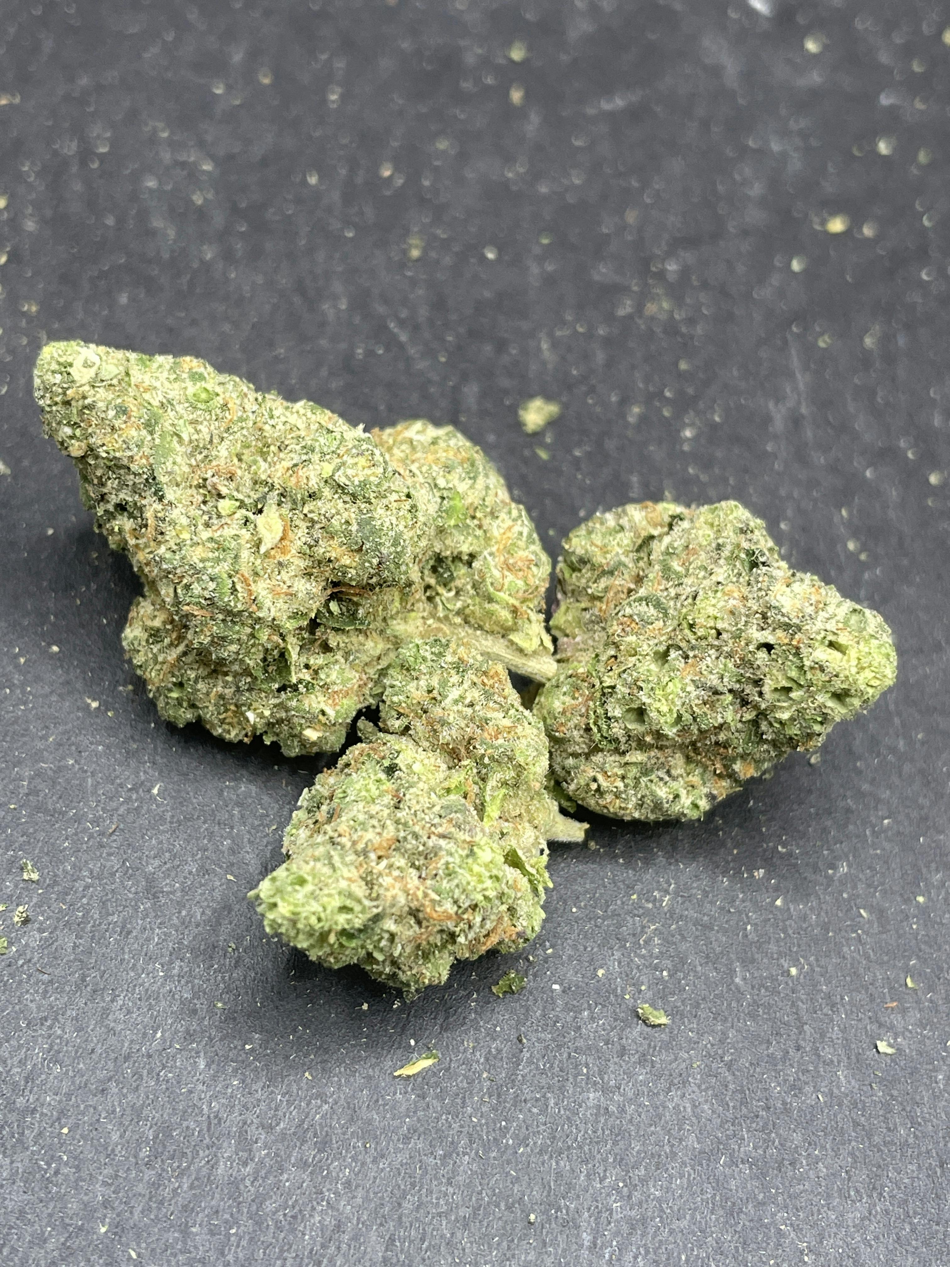 Unloc Gardens | Animal Cocktail 1G