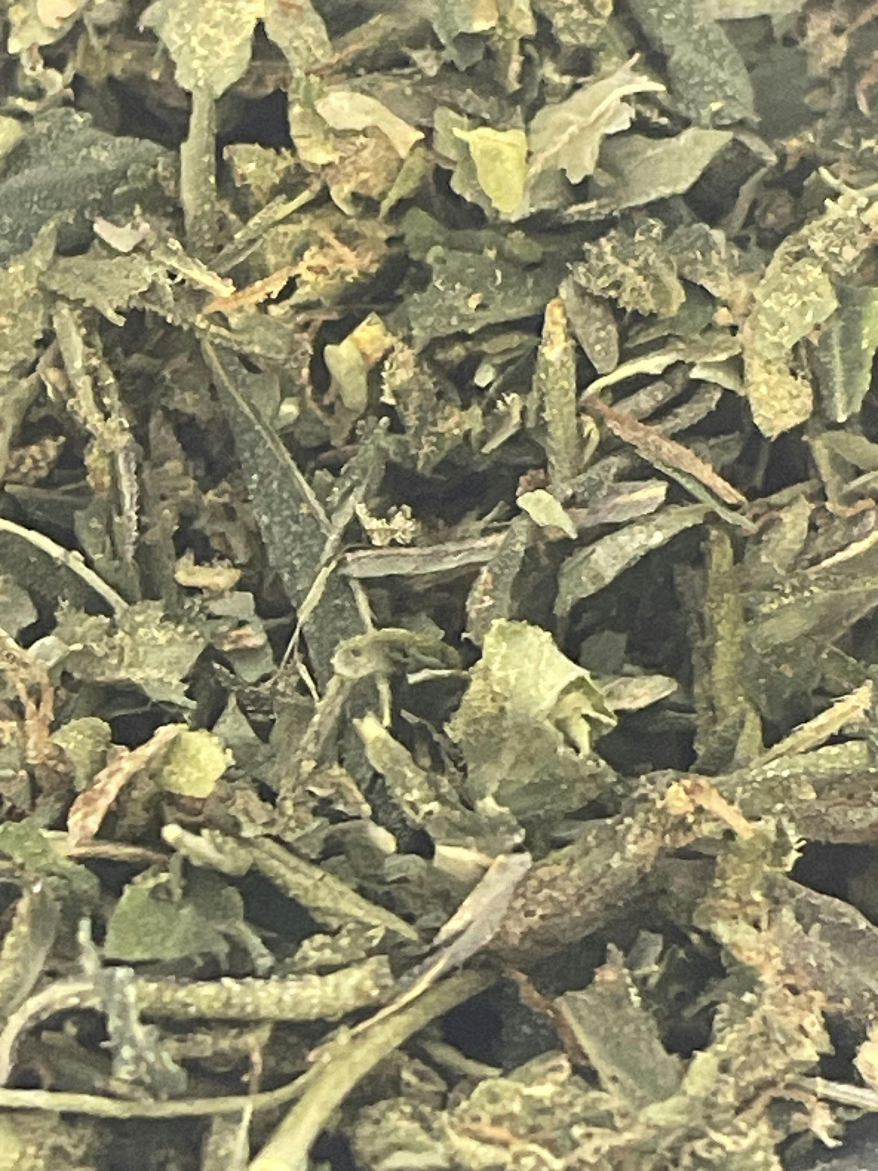 Unloc| Jungle Fruit Shake OZ