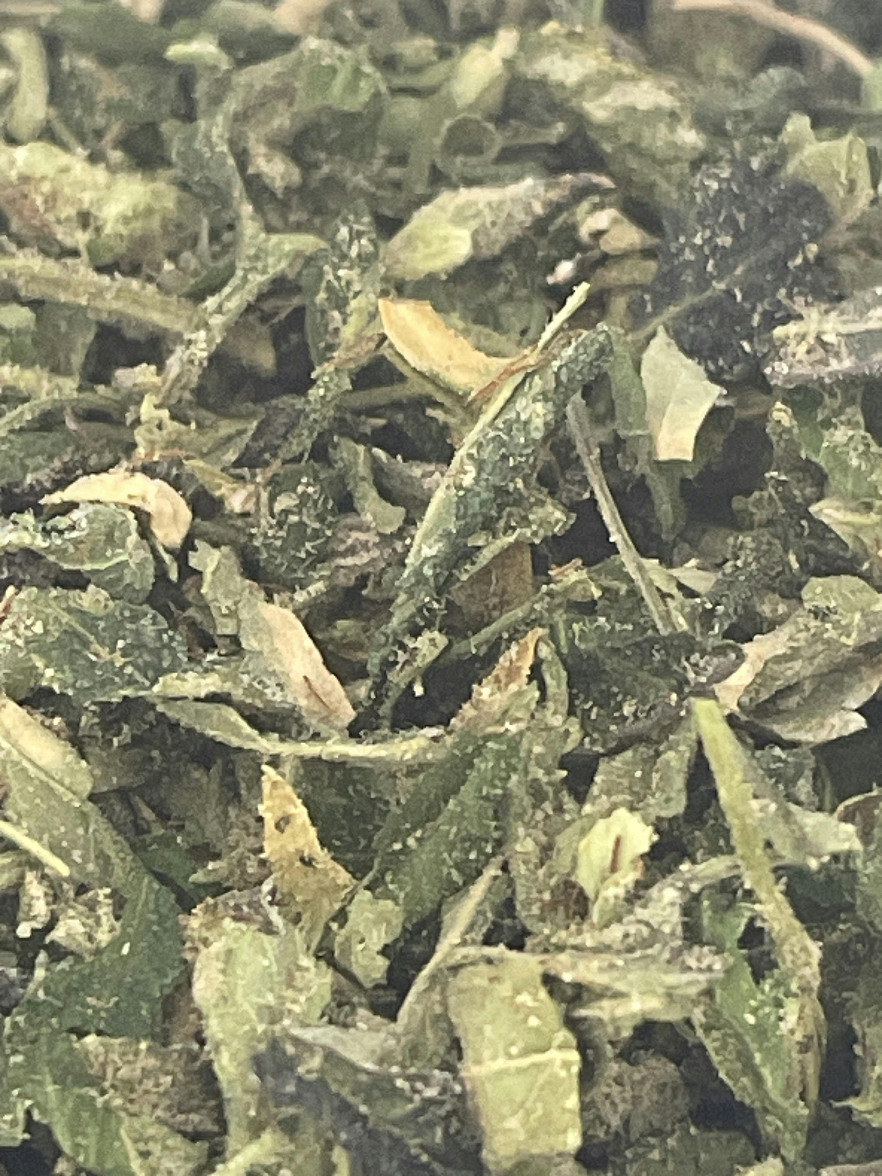 Unloc Gardens | Head Knock Pre-Packed Shake OZ
