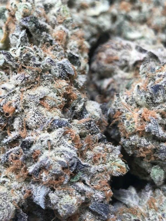 Diamond Socks Bud Fg