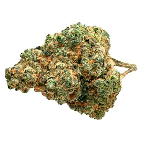 Day Tripper 28g Dried Flower
