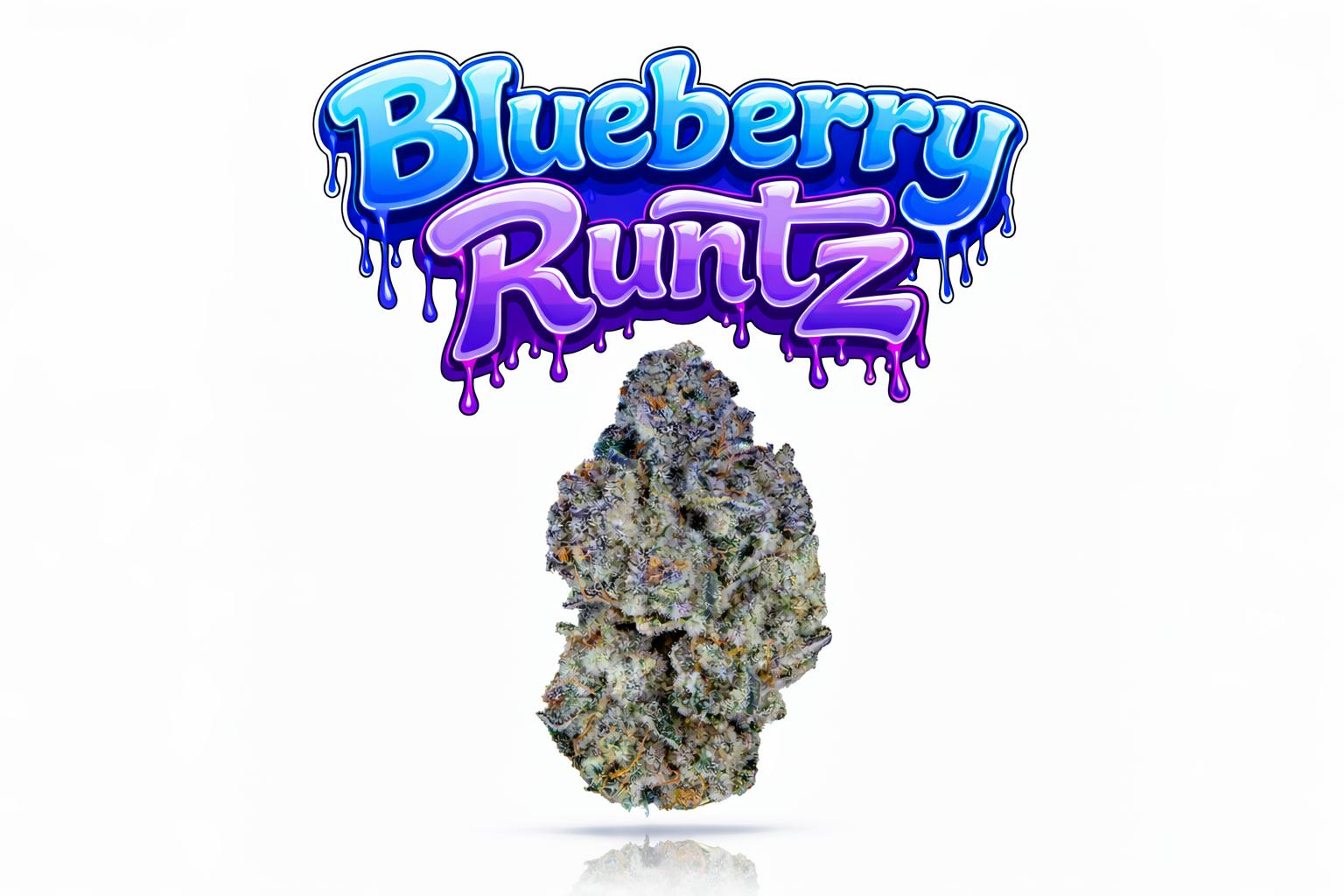 BLUEBERRY RUNTZ - 14G | INDOOR FLOWER