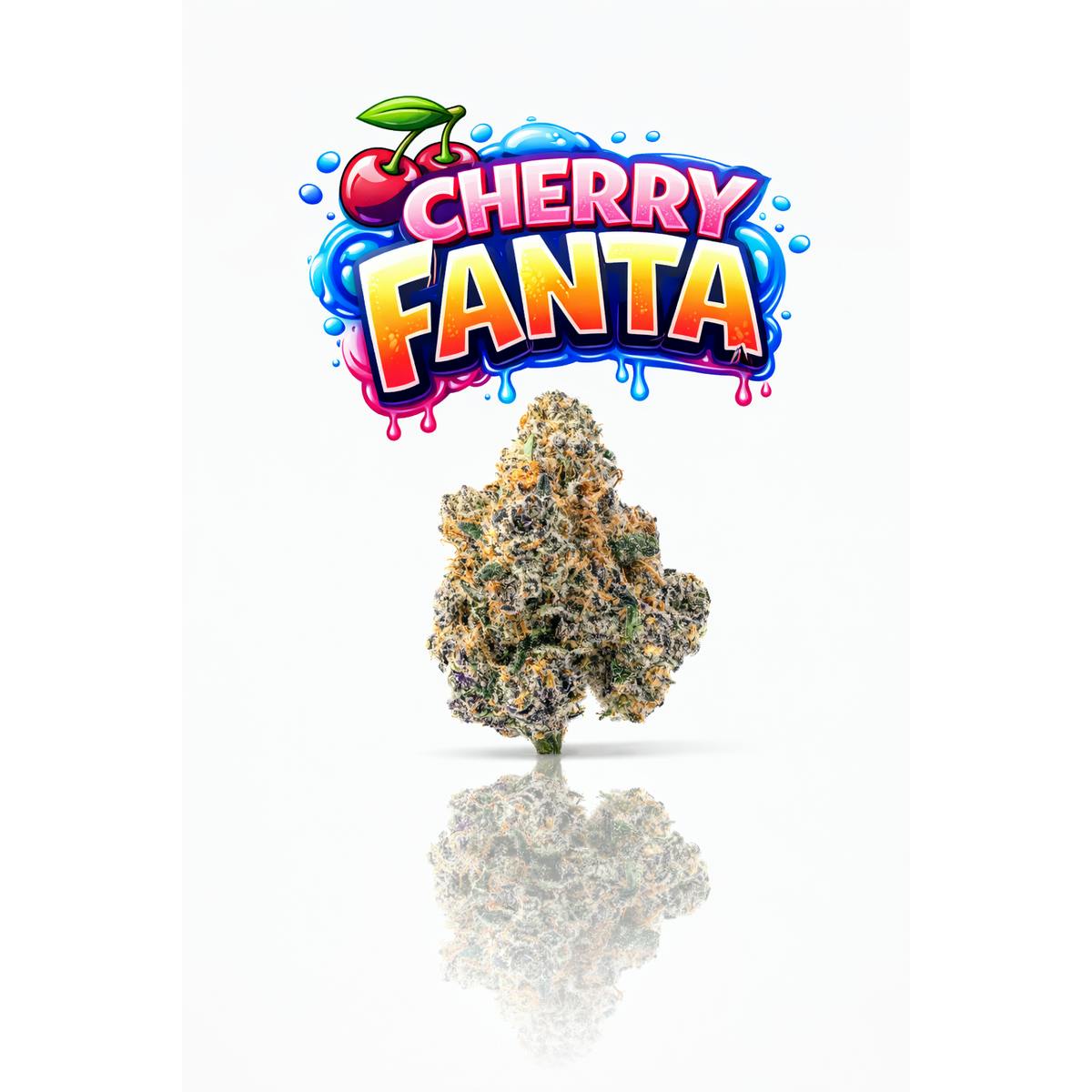 CHERRY FANTA - 14G | INDOOR FLOWER