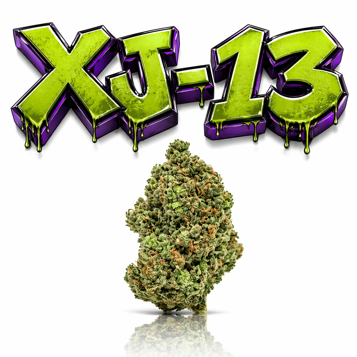 XJ-13 - 14G | INDOOR FLOWER | SATIVA