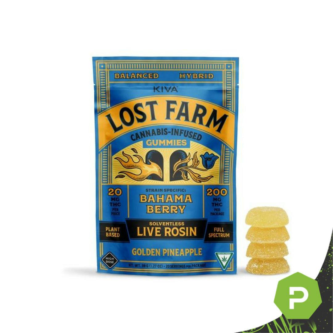 Lost Farm | 200mg Live Rosin Gummies | Golden Pineapple