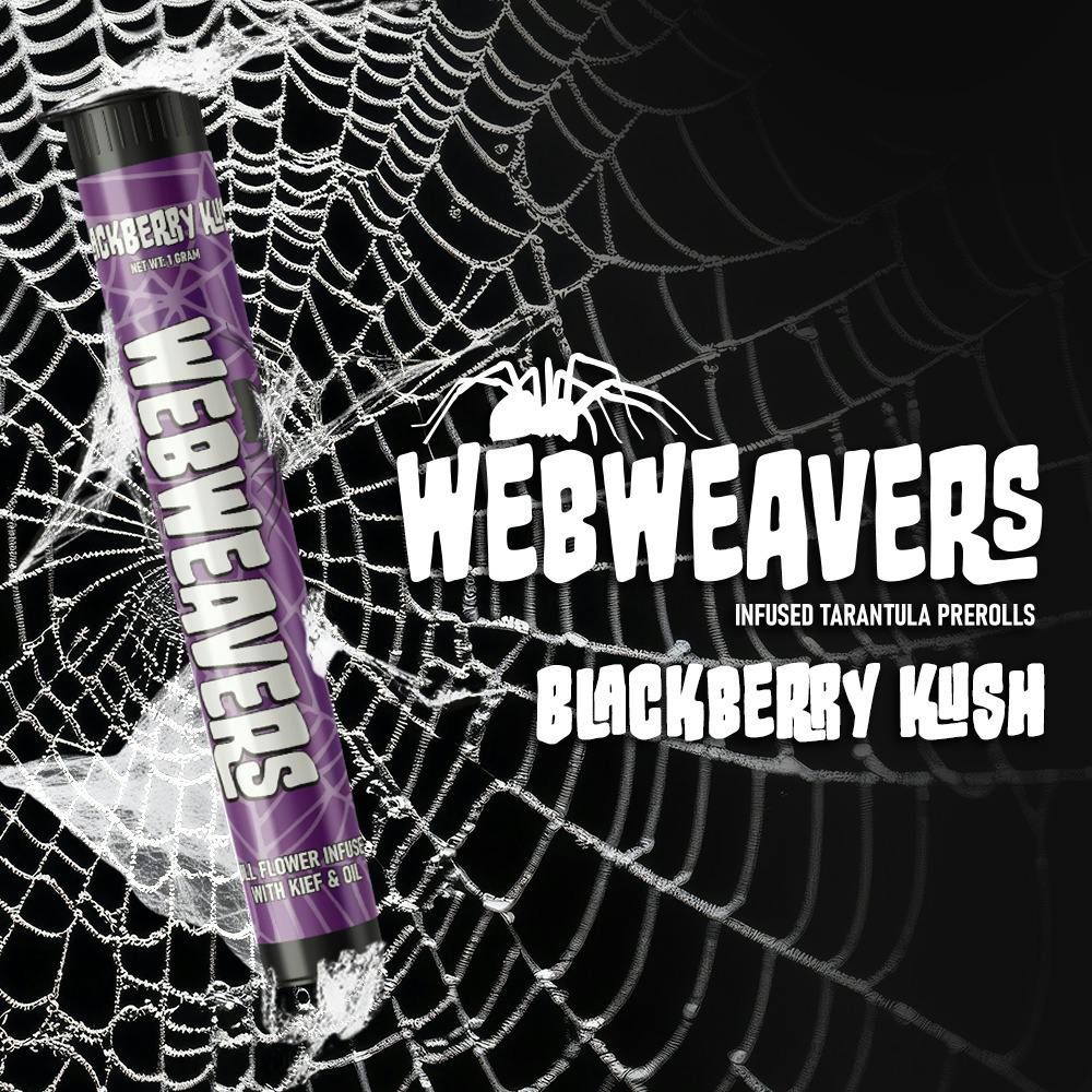 Webweavers | 0.5g x 5 Tarantula Mini Pre-Rolls | Blackberry Kush