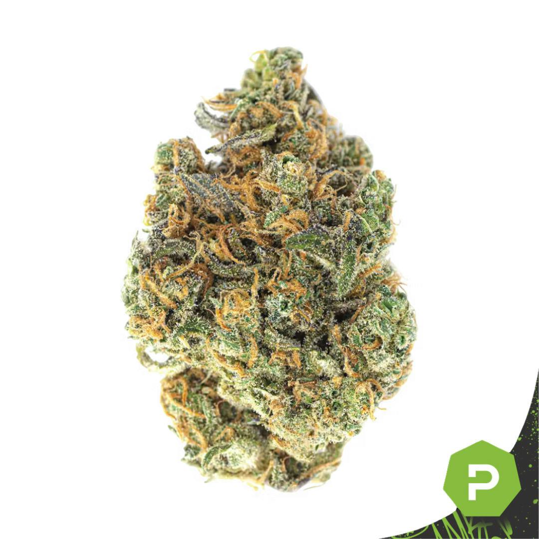 Glorious | Chem Runtz