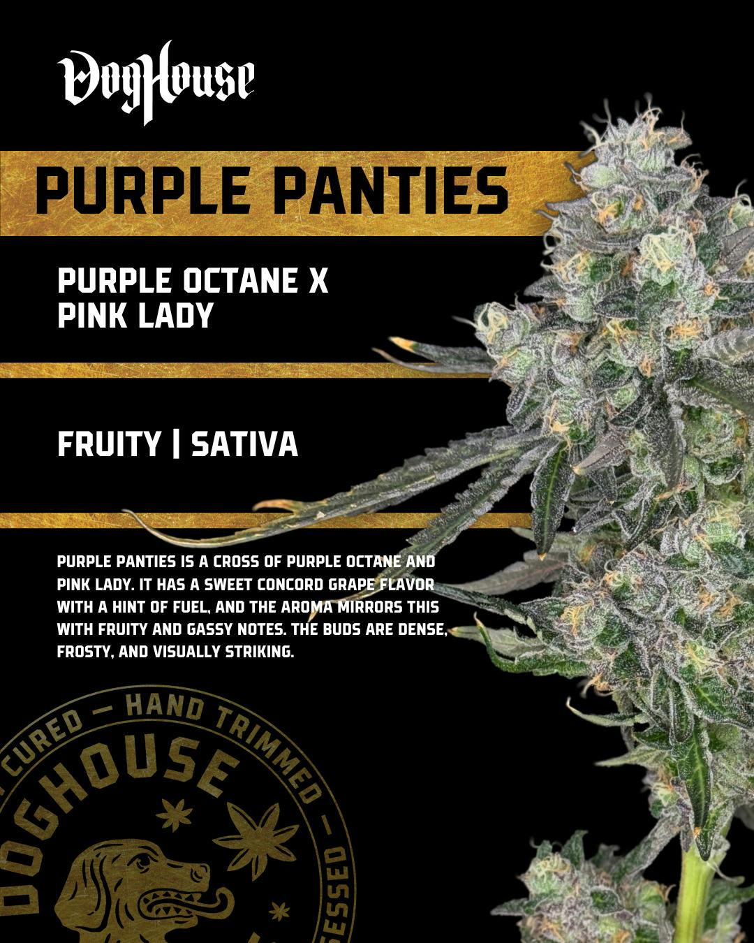 Dog House | Purple Panties