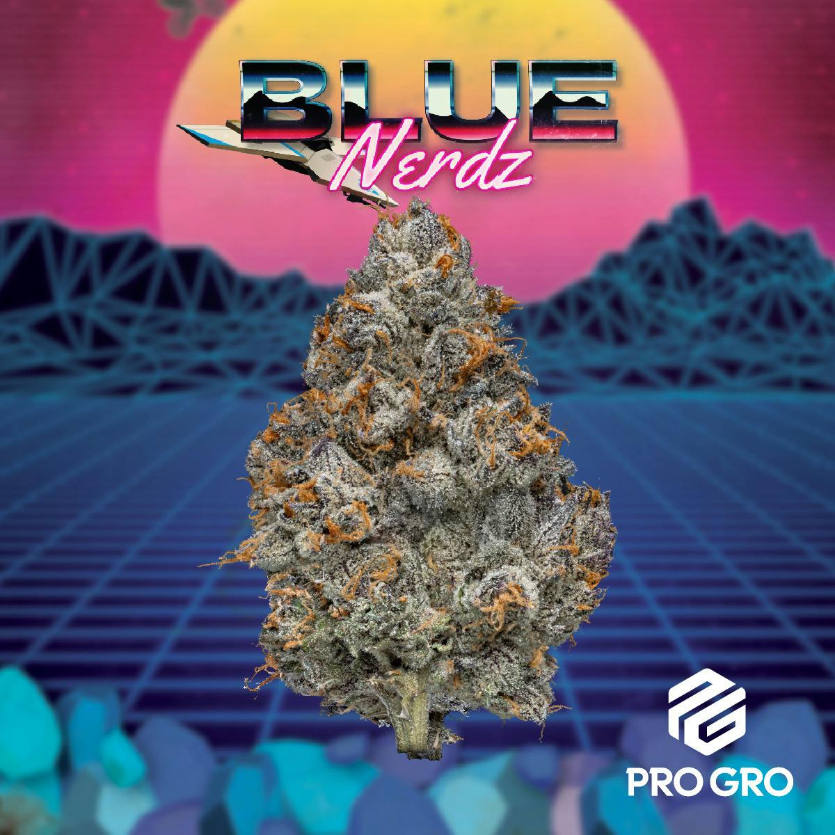 ProGroCo | Blue Nerdz
