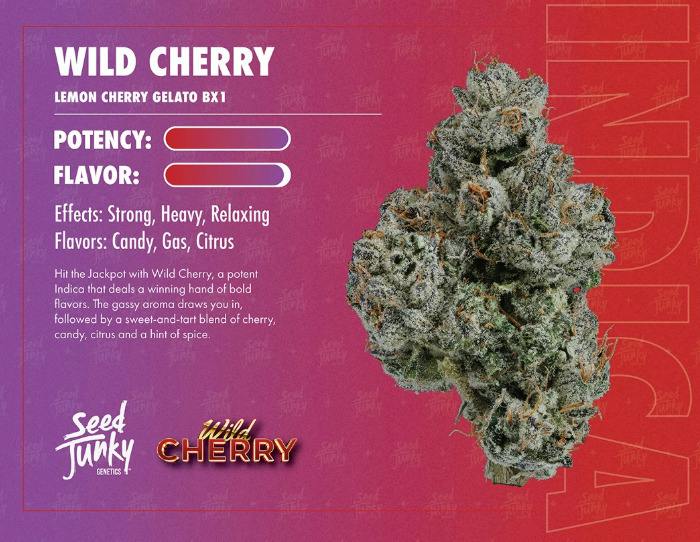 Seed Junky | Berry Smoothie