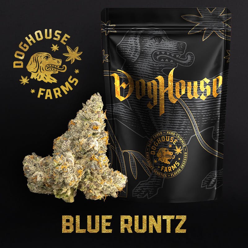 Dog House | Blue Runtz cannabis product