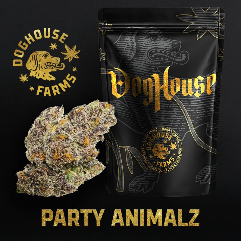 Dog House | Party Animalz