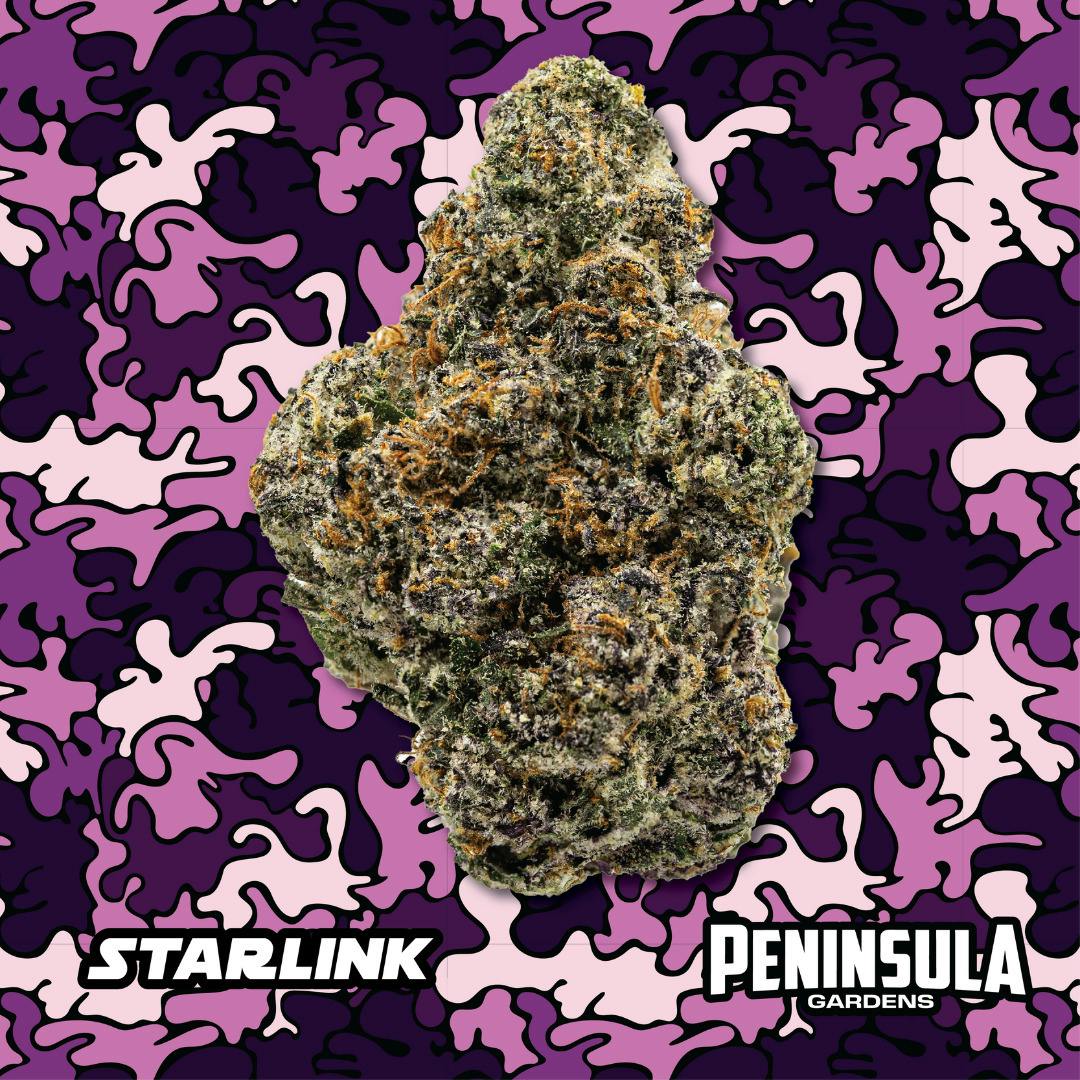 Peninsula Gardens | Starlink