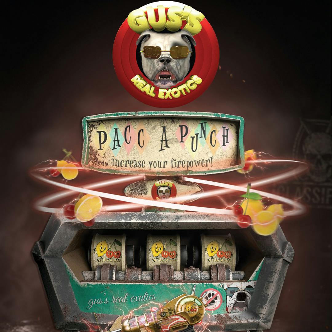Gus's Real Exotics | Pacc a Punch cannabis product