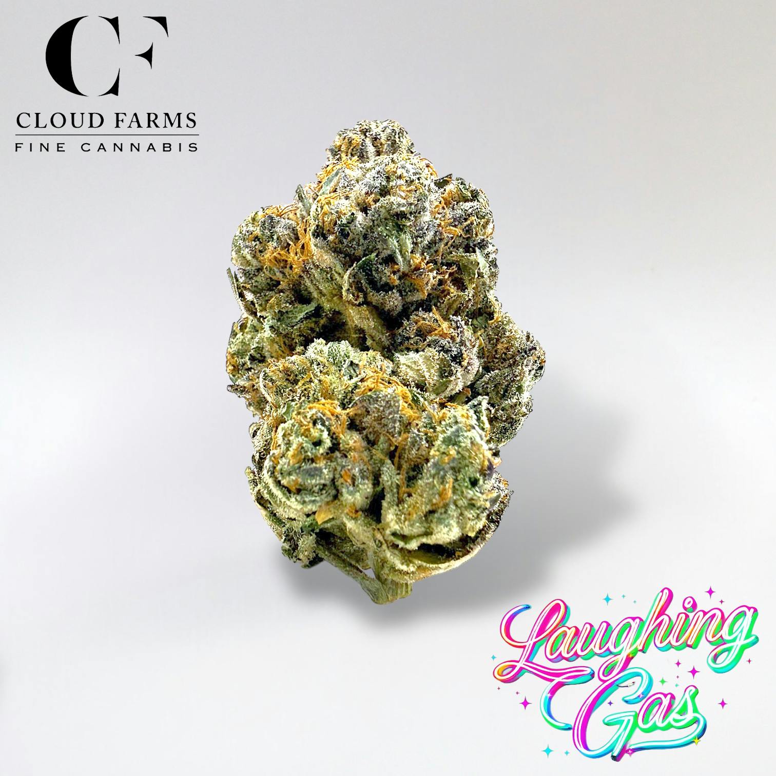 Cloud Farms | Laughing Gas cannabis product