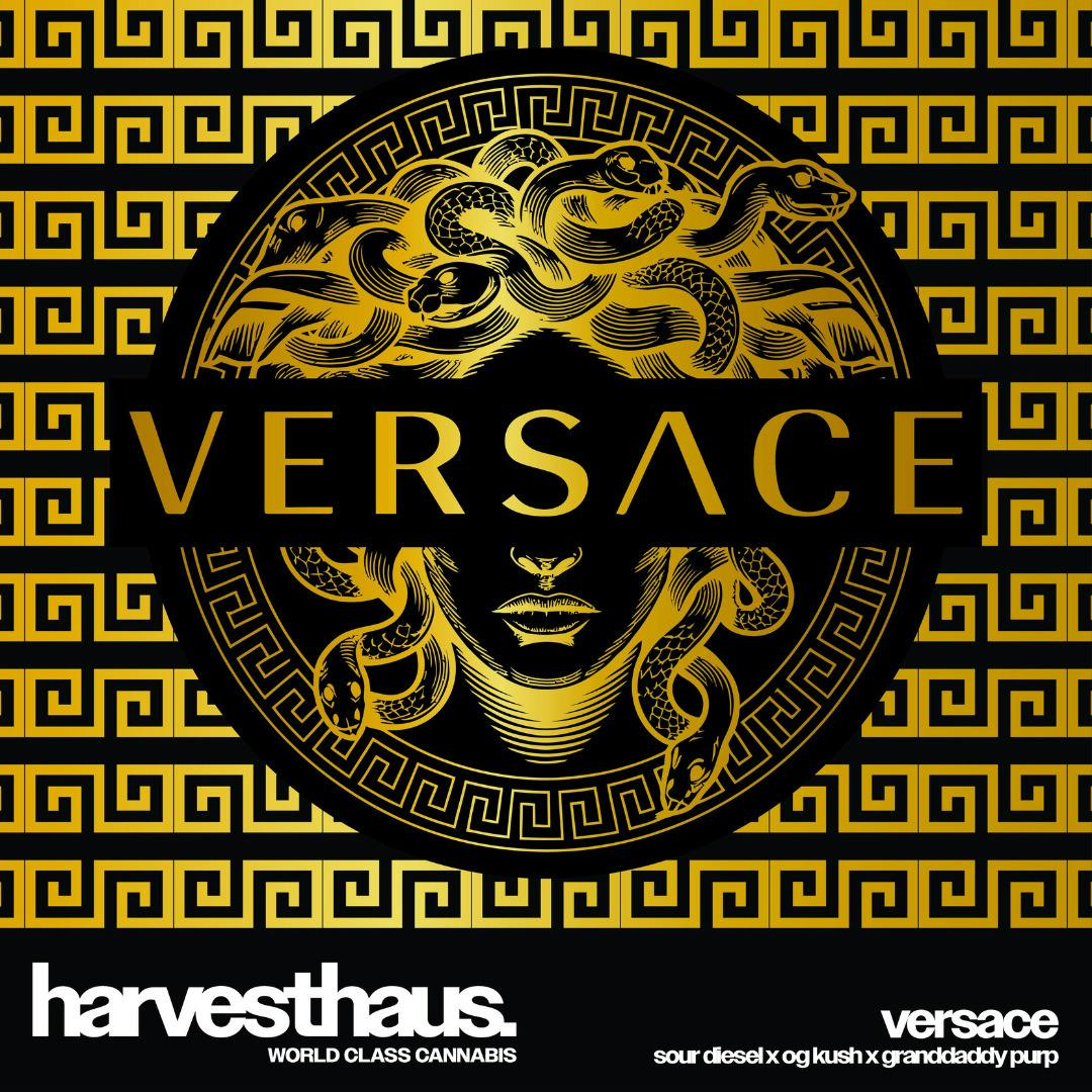 Harvesthaus | Versace