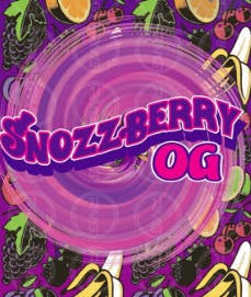 Rare MI Genetics | Snozzberry | Pre-Roll Pk | 10pk