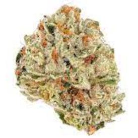 Sour OG Cheese - Phoenix Farms (M)