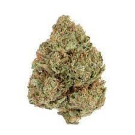 Cheetah Milk - Denver Kush Club