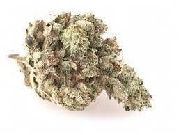 Miracle Glue - Denver Kush Club