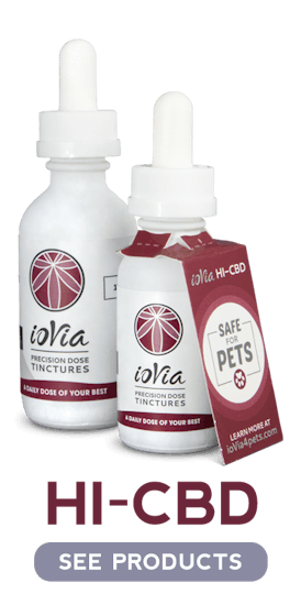 Iovia 200mg CBD 20:1 Tincture