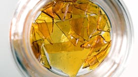 Apple Guava Cooler Shatter