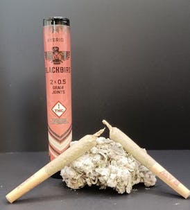 Scented Marker Infused Joint - Blackbird