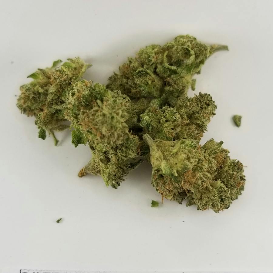 Daydream Kush - Denver Kush Club