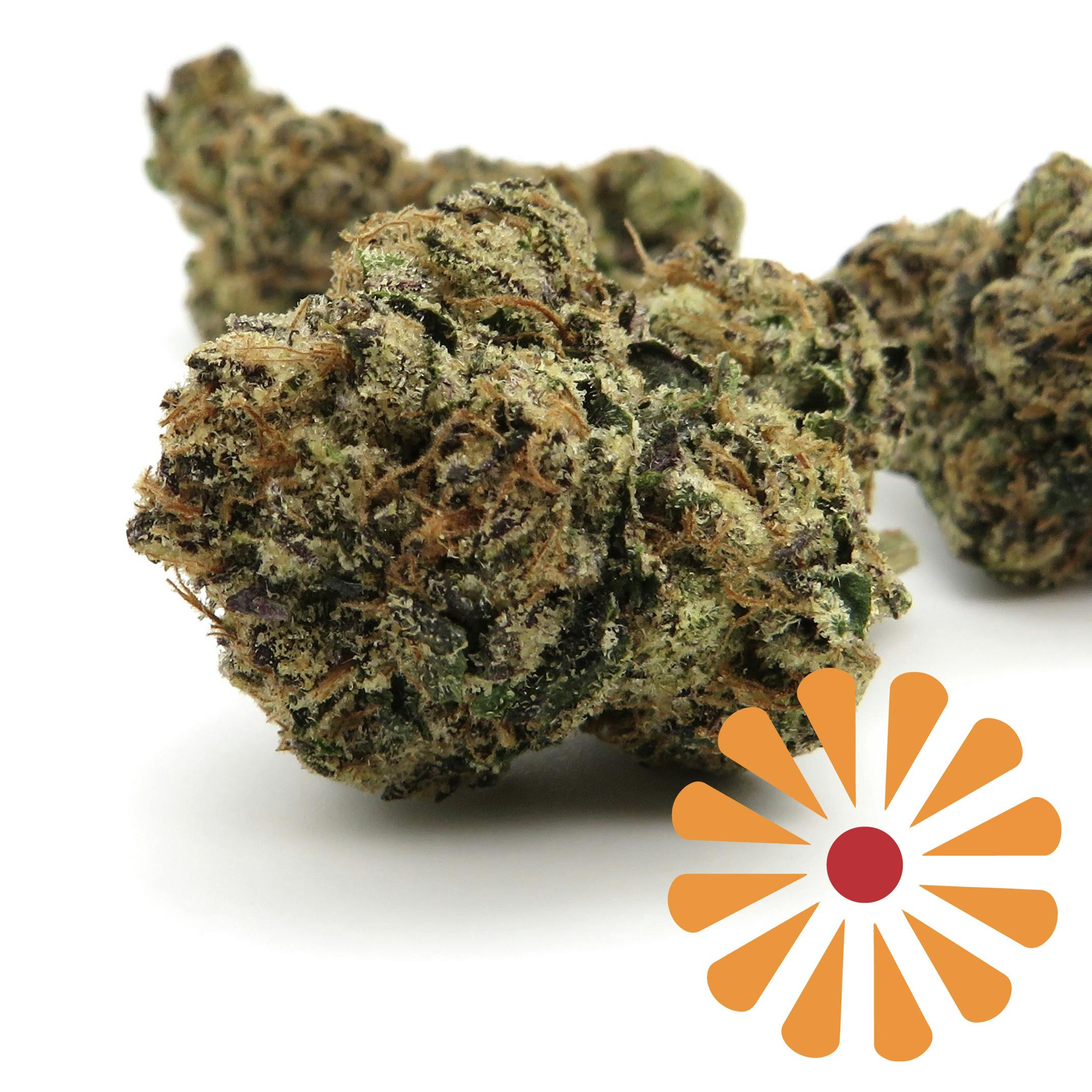 Lemon Cherry Gelato - 7g
