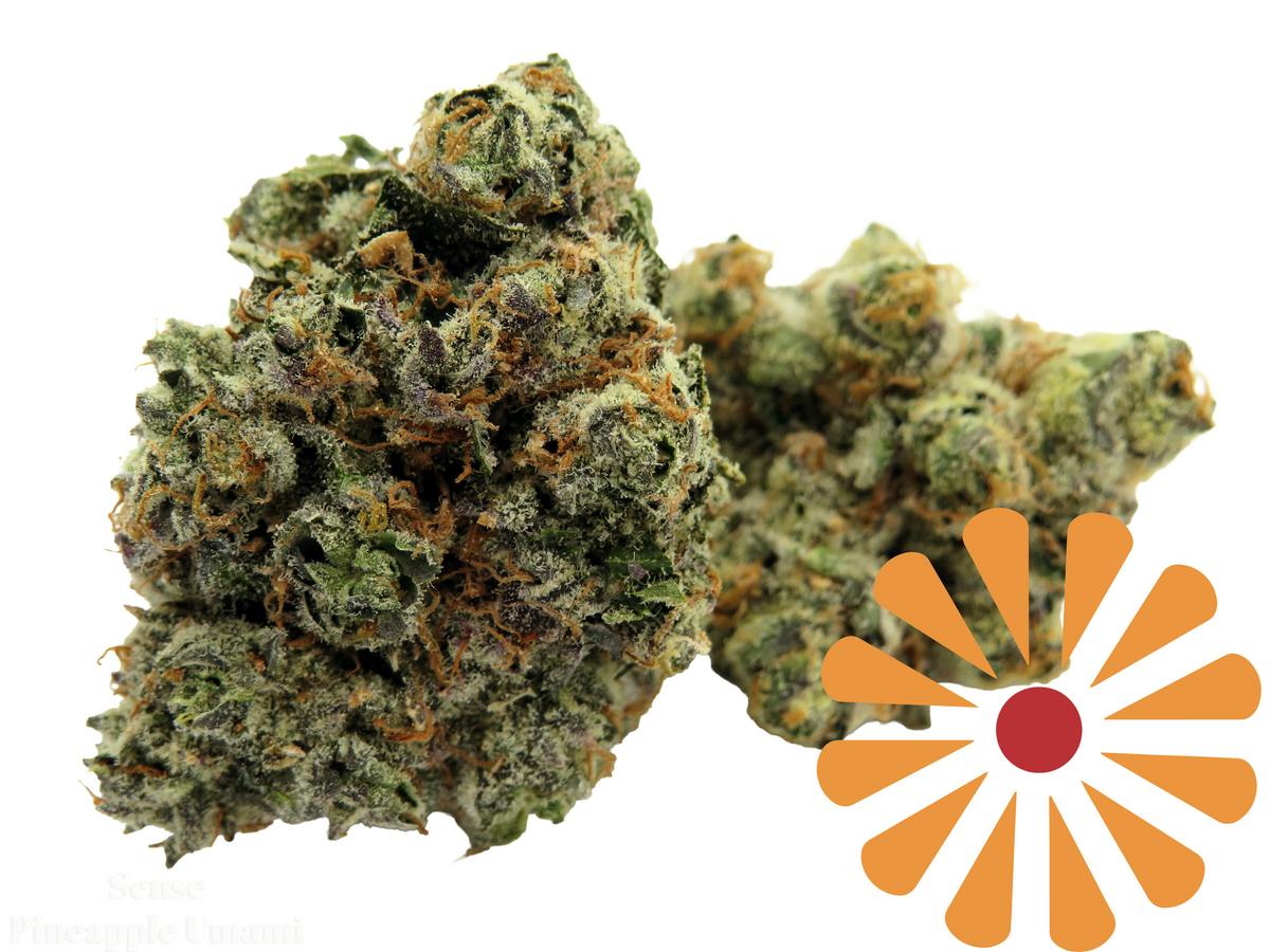 Pineapple Umami - 3.5 g