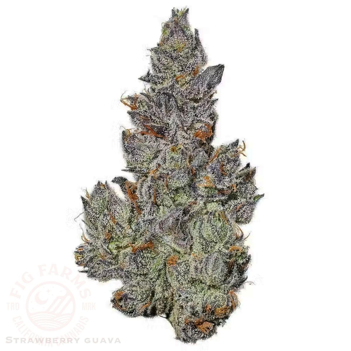 Strawberry Guava - 7 g