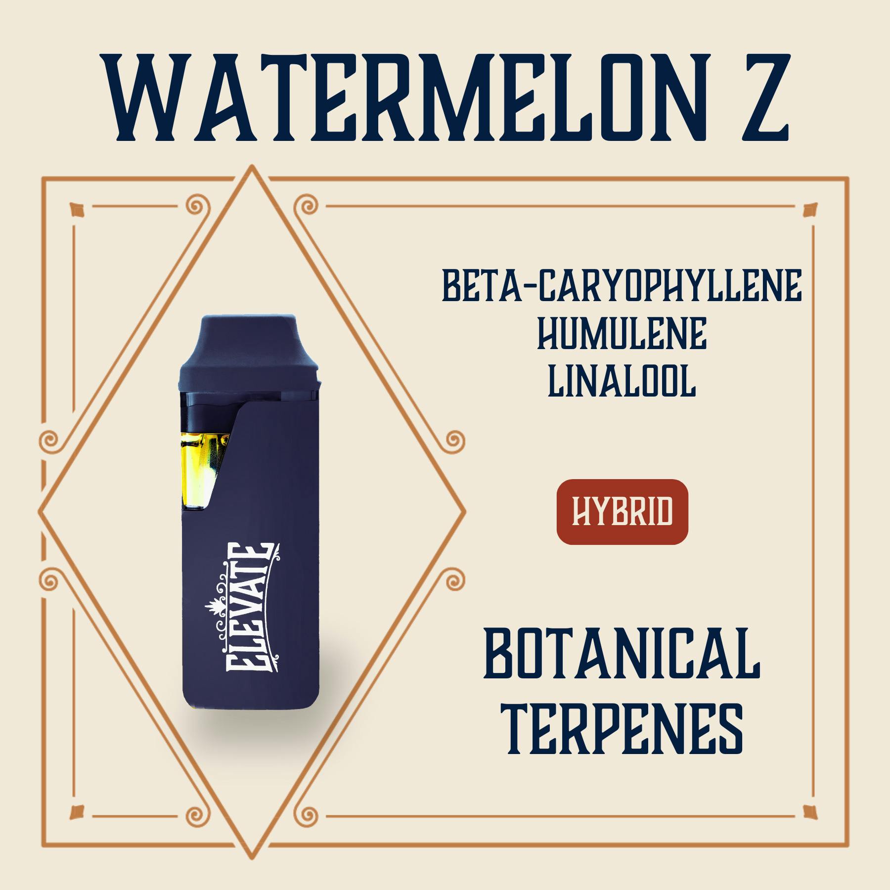 Watermelon Z Botanical Min-E-Bar Vape (.5g)