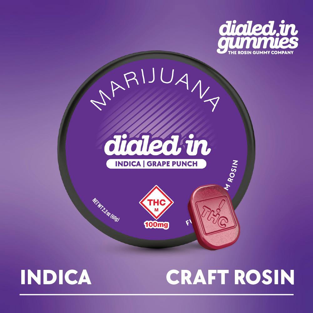 Grape Punch Rosin Gummies (100mg)
