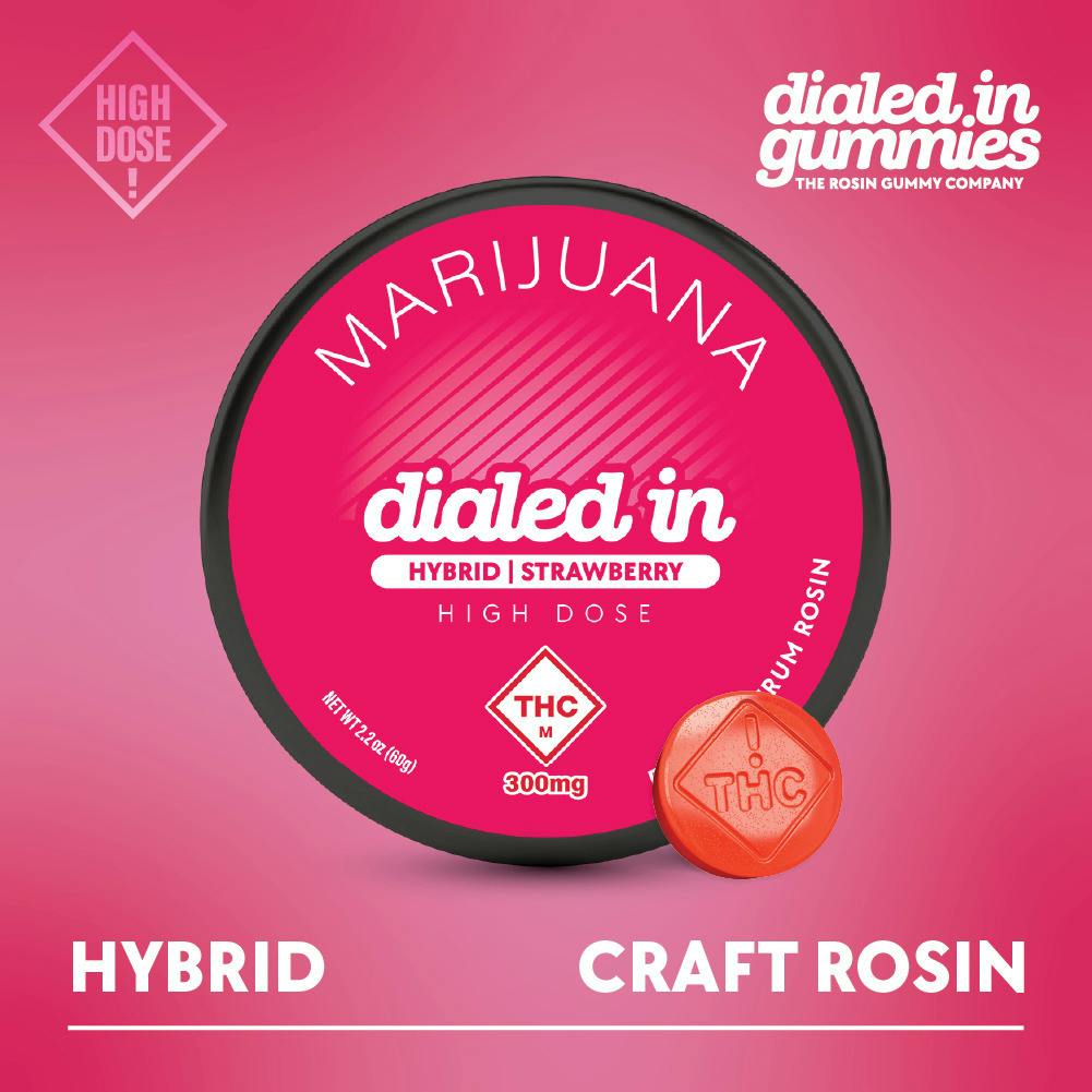 Dialed In: Rosin Gummies | Strawberry | Hybrid | 300mg | 10pk