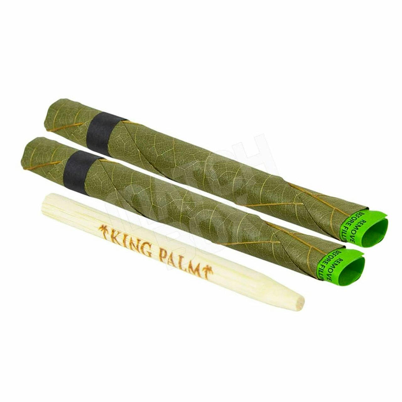 King Palm Mini - Peach Tree