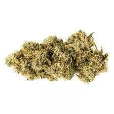 Carmel - Animal Face - Sativa - 3.5g