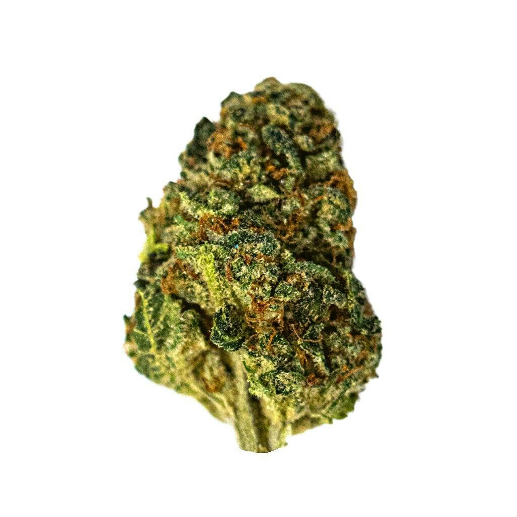 Dykstra Greenhouses - Niagara's Own - Sativa - 7g