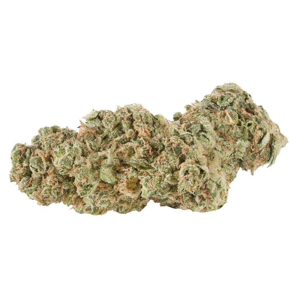 Canaca - Ghost Gelato - Indica - 7g