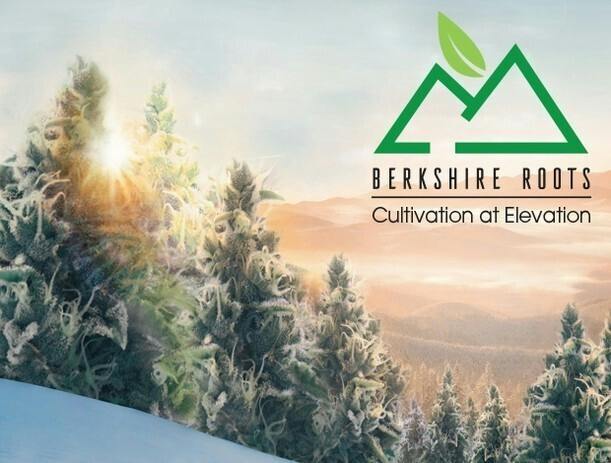Berkshire Roots - D Sailor cannabis product